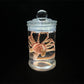 Alien Glow Jar Xenomorph Specimen Facehugger Embryo Jar with Led lamp Movie Prop Replica Home Decor Desktop Crafts Decoration