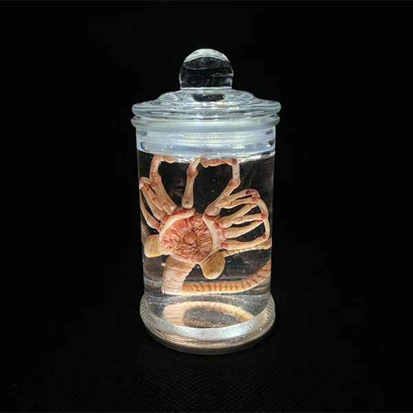 Alien Glow Jar Xenomorph Specimen Facehugger Embryo Jar with Led lamp Movie Prop Replica Home Decor Desktop Crafts Decoration